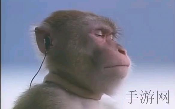 东方影库存1800,东方影库藏片破千 多样化内容策略引爆观影热潮-2